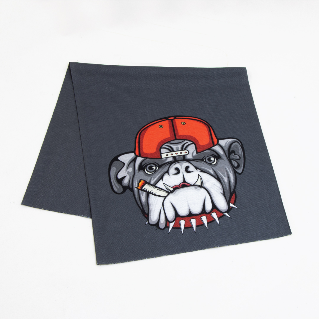 Bulldog Boyunluk